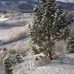 In *